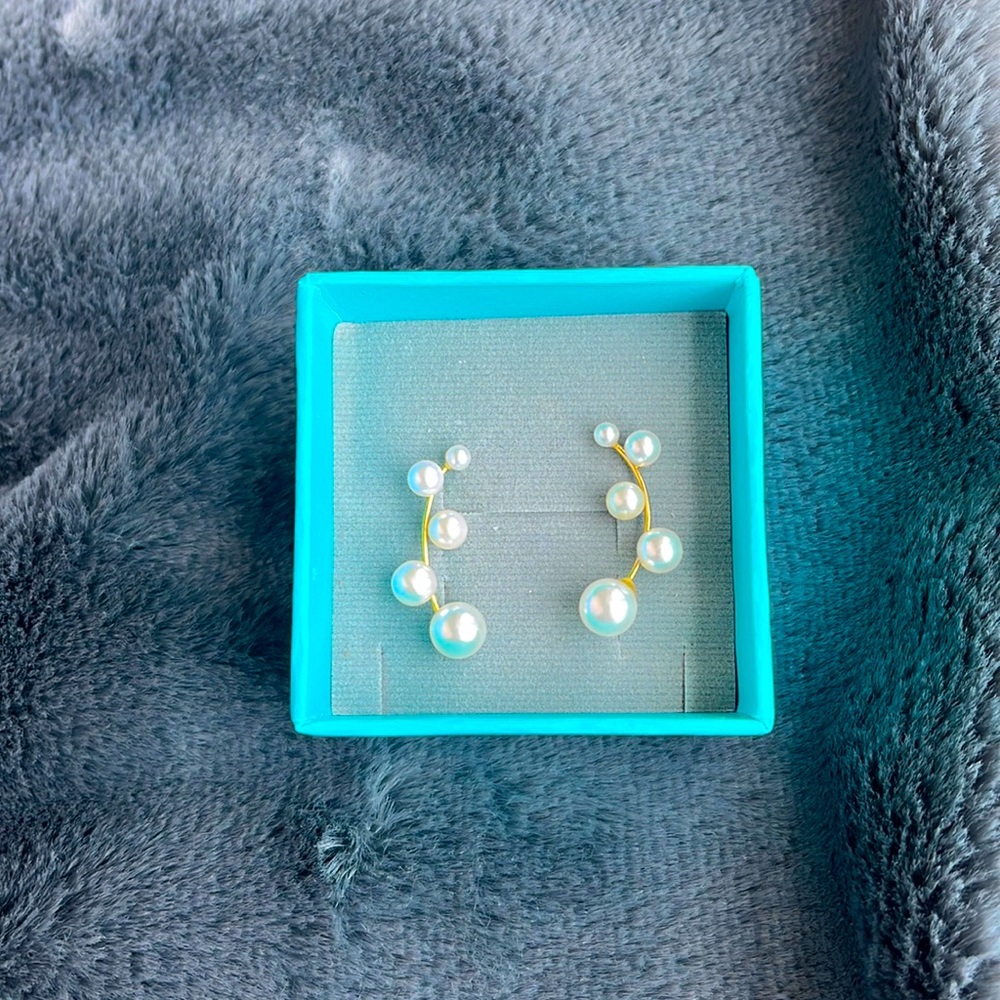 NIB Amorium ear ring climbers